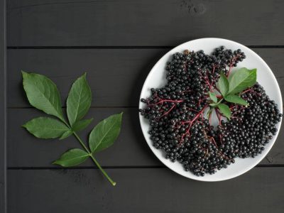 Właściwości i zastosowanie owoców i liści czarnego bzu